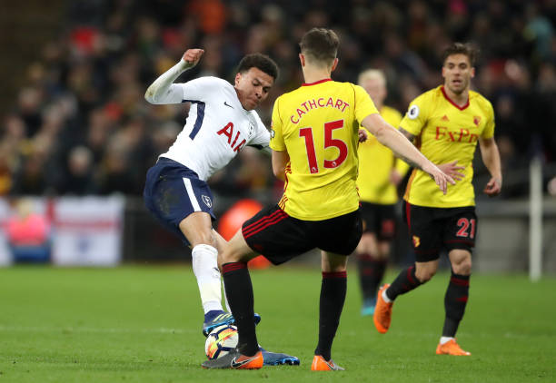 球迷的关注 球迷的关注