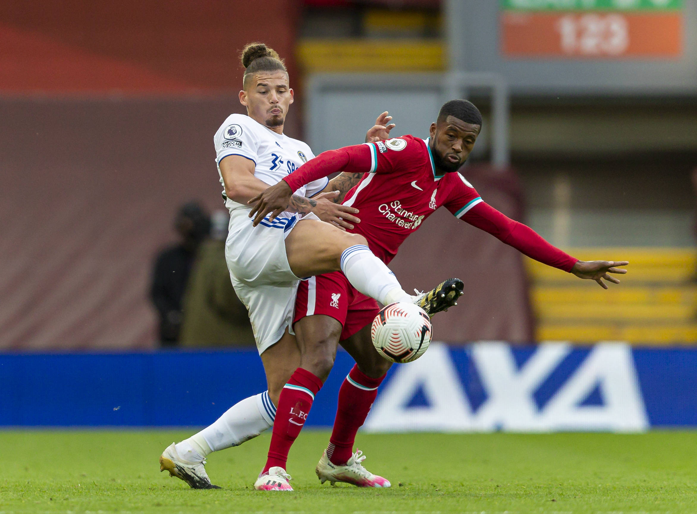 育大国向现 育大国向现